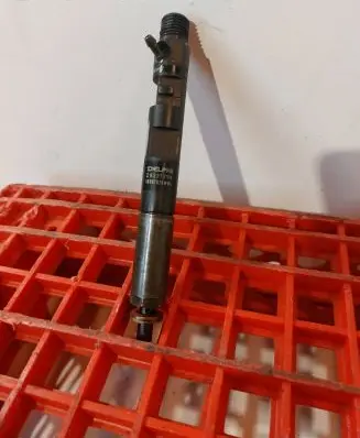 Renault Kangoo II Fuel injector 28237259 1888FD28W04