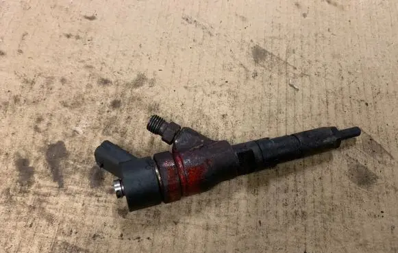 Renault Laguna II Fuel injector 0445110044