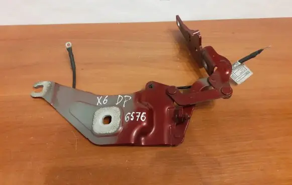 BMW X6 E71 Engine bonnet/hood hinges 9188853 7208628