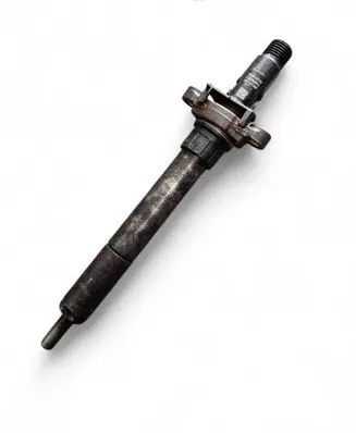 Citroen C5 Fuel injector 9688438580 EJBR06001D 38L3LD17W07