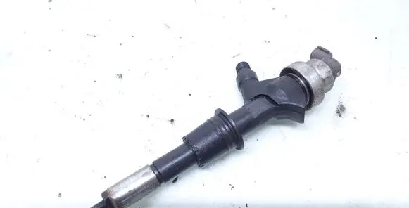 Opel Zafira B Fuel injector 8973762703