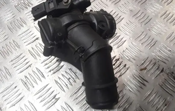 Citroen Xsara Picasso Throttle valve 9660030580