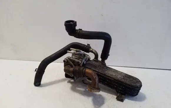 Volkswagen Golf V EGR valve cooler 038171513AD