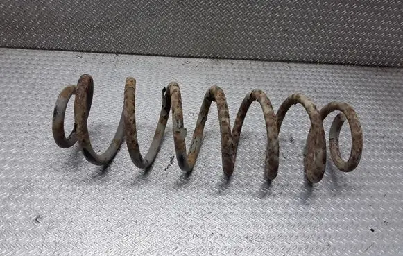 Skoda Roomster (5J) Rear coil spring