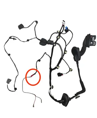 Front door wiring loom