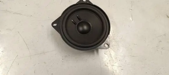 Front door speaker