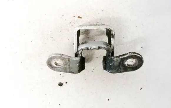 Rear door lower hinge