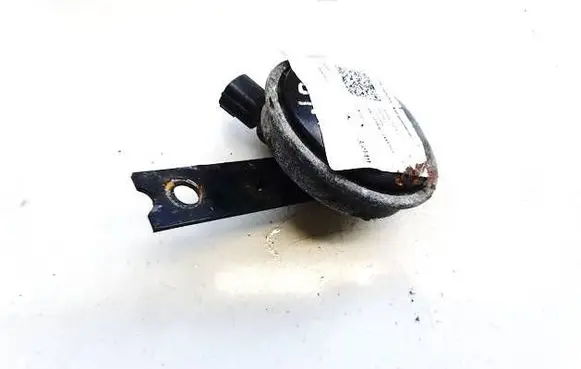 Horn signal