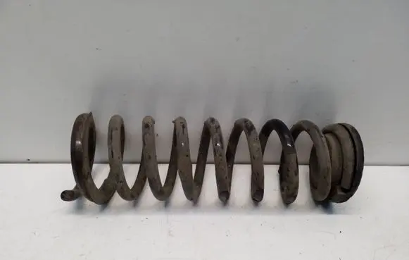 KIA Sportage Rear coil spring