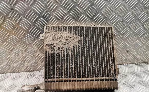 Jaguar XF X250 Coolant radiator 9x238d048ad