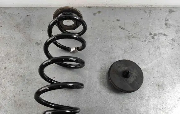 Volvo XC40 Rear coil spring 31658707