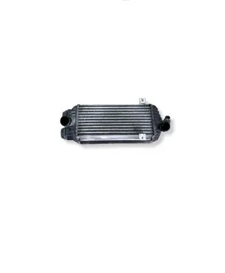 KIA Sportage Intercooler radiator 282702A510
