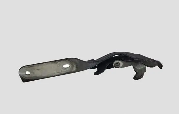 Nissan Juke I F15 Engine bonnet/hood hinges