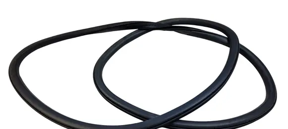Ford Fusion II Front door rubber seal 010440111