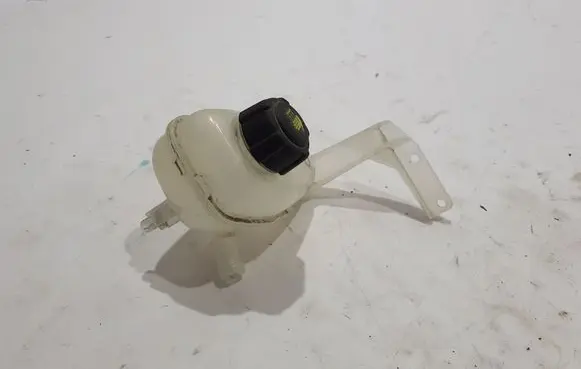 Renault Megane E-Tech Coolant expansion tank/reservoir 217105MZ1A