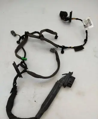Front door wiring loom