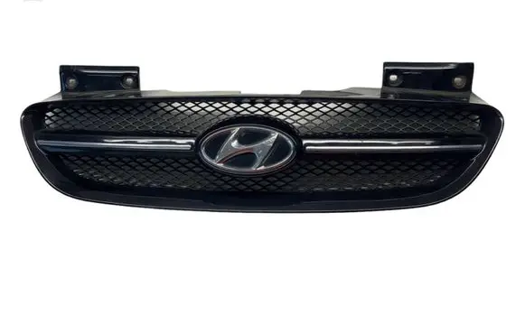 Hyundai Getz Front bumper upper radiator grill 863851C310