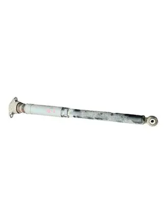 Ford Turneo Courier Rear shock absorber/damper AY1118159AA