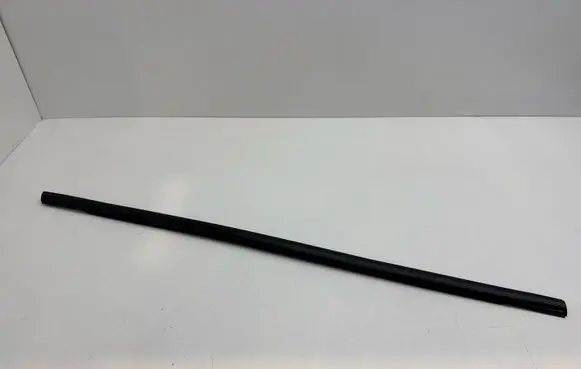 Ford Ecosport Front door glass trim molding 