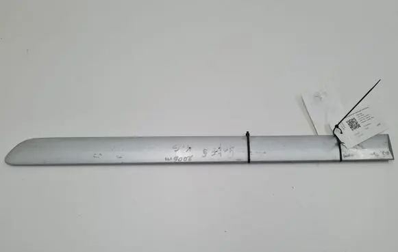 Rear door trim (molding)