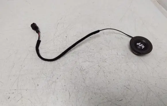 Panel speaker