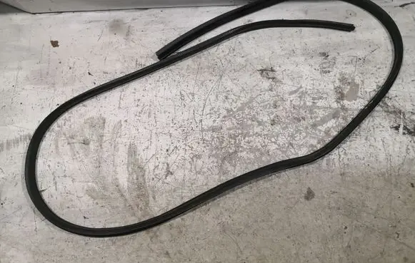 Ford C-MAX II Front door rubber seal