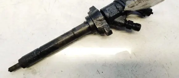 Citroen Berlingo Fuel injector 0445110311