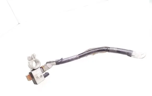 Tesla Model S Negative earth cable (battery) 100565300J 17383900 17394900