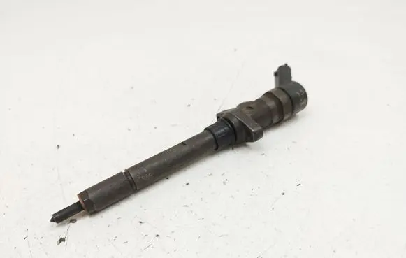 Peugeot 607 Fuel injector 0445110036