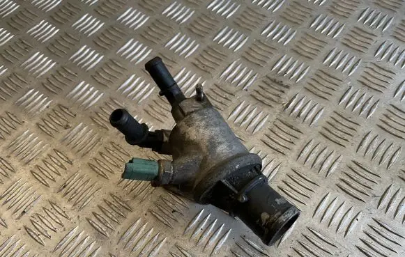 Thermostat/thermostat housing