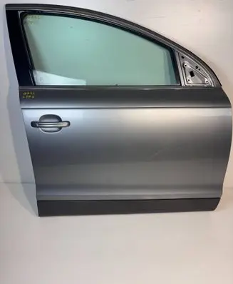 Audi Q7 4L Front door LY7G