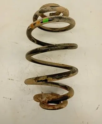 Volkswagen PASSAT B5 Rear coil spring