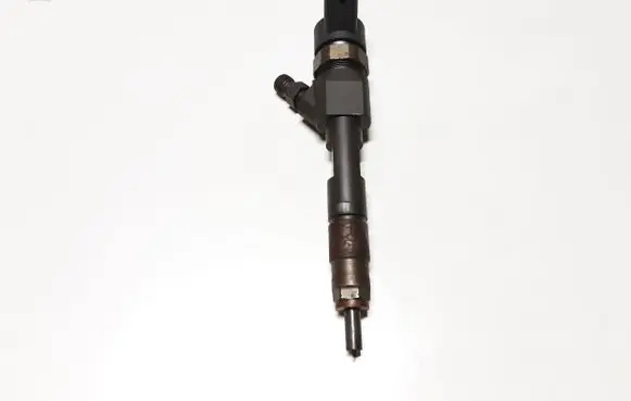 Suzuki Grand Vitara II Fuel injector 8200389369 0445110230