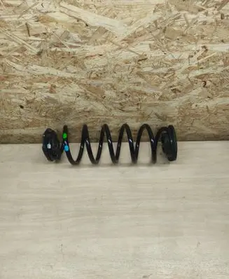 Rear coil spring