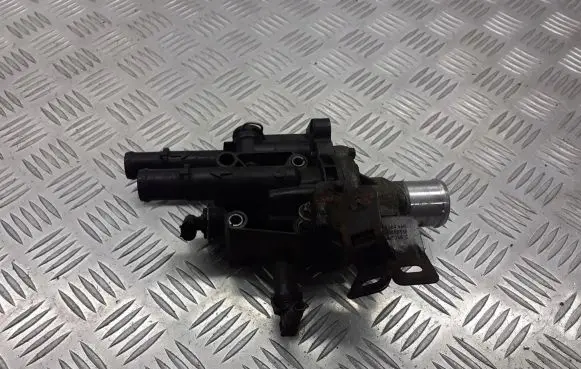 Thermostat/thermostat housing