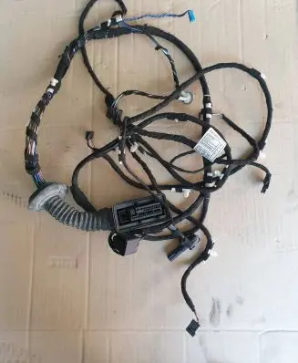 Front door wiring loom