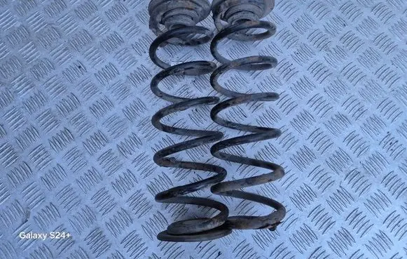 Rear coil spring