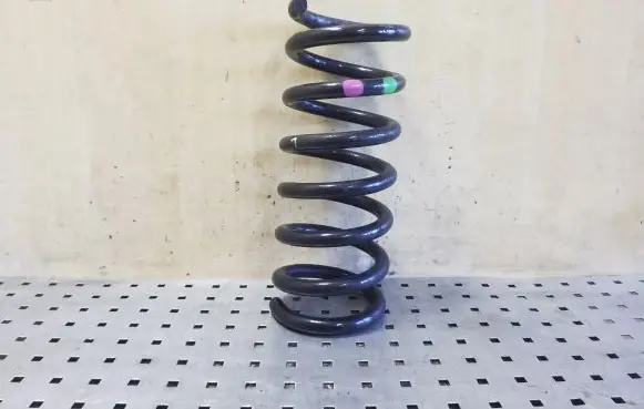 Rear coil spring