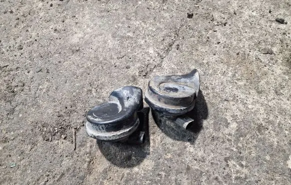 Volkswagen PASSAT B6 Horn signal