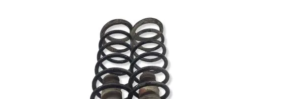 Citroen Berlingo Rear coil spring 