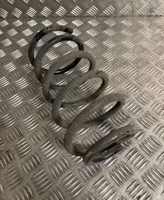 Rear coil spring