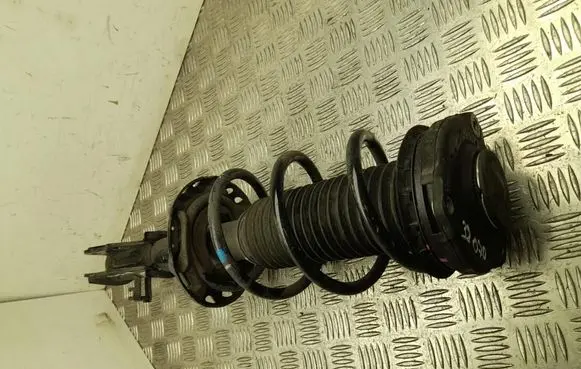 MG MG4 ev Front shock absorber with coil spring 10940004