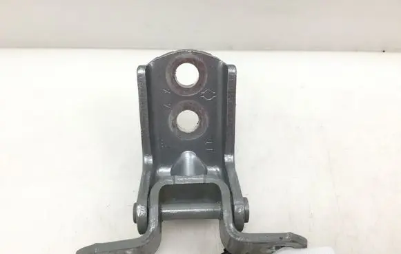 Nissan Qashqai Rear door lower hinge 