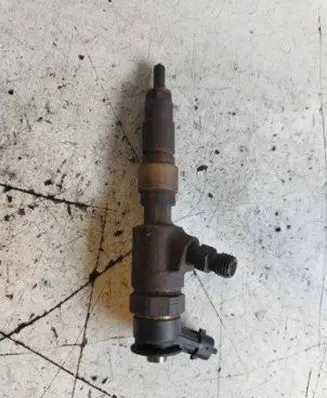 Citroen C3 Picasso Fuel injector 0445110340