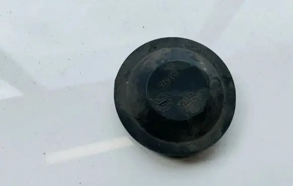 Volkswagen PASSAT B5 Headlight/headlamp dust cover 153873