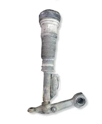 Mercedes-Benz S W220 Front shock absorber/damper 