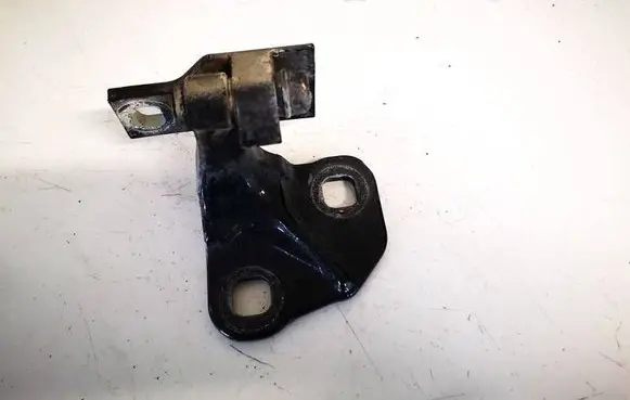BMW 7 E65 E66 Rear door lower hinge 7017818