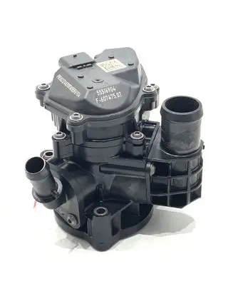 Opel Astra K Water pump 55516904