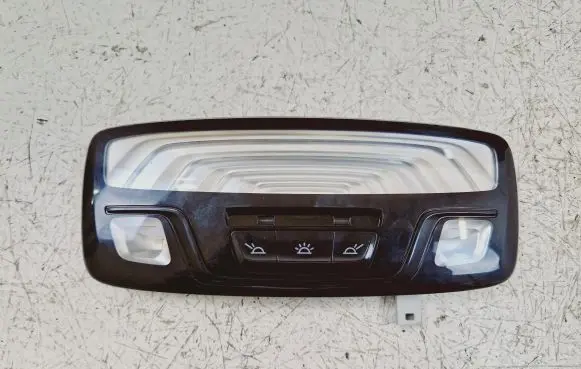 BMW 5 G30 G31 Rear seat light 43684861401 01209710