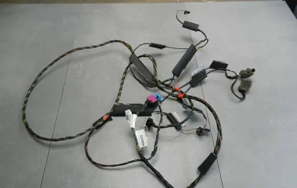 Volkswagen Phaeton Other wiring loom 3D0971100BJ